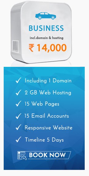 Web design package business in Udaipur